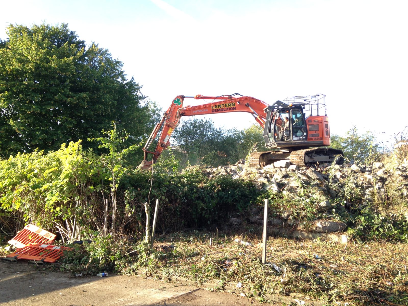 Dig and Dump knotweed removal services